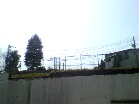 �i�ǂ̏�̎��Ɨp�n